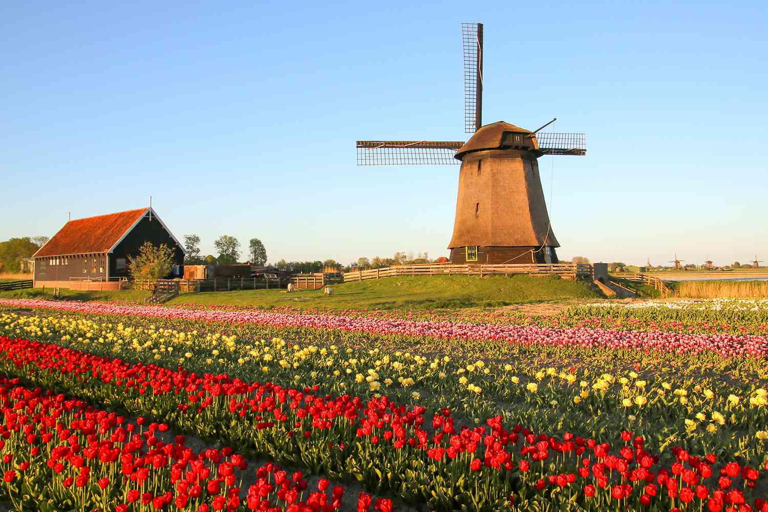 Netherlands